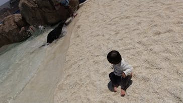 大分マリーンパレス水族館 「うみたまご」に投稿された画像（2021/4/15）