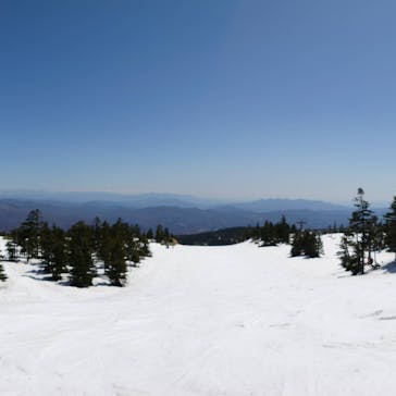 横手山・渋峠スキー場に投稿された画像（2021/4/15）