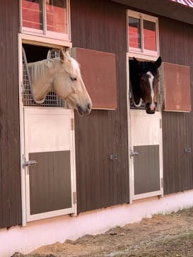 ノーザンホースパークに投稿された画像（2021/4/15）