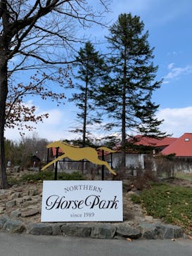 ノーザンホースパークに投稿された画像（2021/4/15）