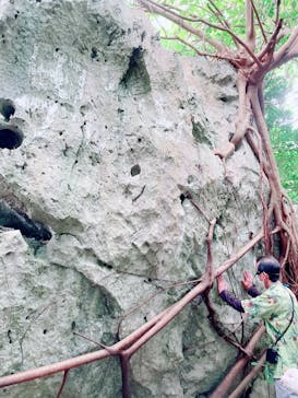 アスムイハイクスに投稿された画像（2021/4/15）