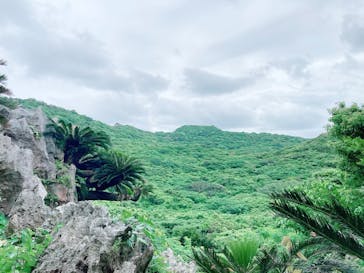 アスムイハイクスに投稿された画像（2021/4/15）