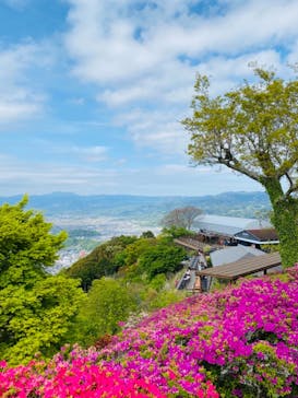 伊豆パノラマパークに投稿された画像（2021/4/15）