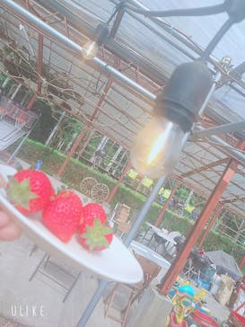 福田フルーツパークに投稿された画像（2021/4/15）