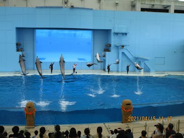 横浜・八景島シーパラダイスに投稿された画像（2021/4/15）