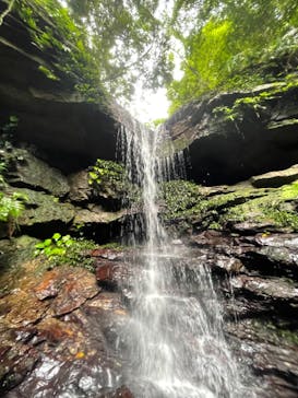 西表島 ADVENTURE PiPi（アドベンチャーピピ）に投稿された画像（2021/4/15）