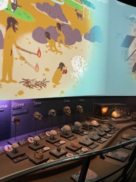 国立科学博物館に投稿された画像（2021/4/15）