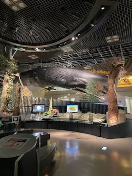 国立科学博物館に投稿された画像（2021/4/15）