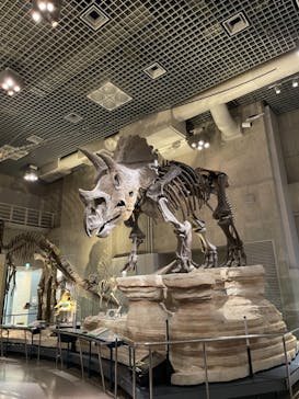 国立科学博物館に投稿された画像（2021/4/15）