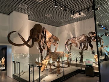 国立科学博物館に投稿された画像（2021/4/15）
