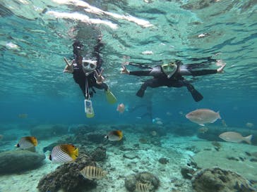 MalDive（モルダイブ）に投稿された画像（2021/4/15）