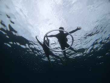 武藤潜水に投稿された画像（2021/4/16）