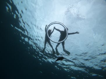 武藤潜水に投稿された画像（2021/4/16）