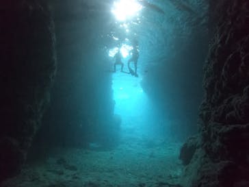 武藤潜水に投稿された画像（2021/4/16）