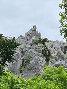 アスムイハイクスに投稿された画像（2021/4/16）