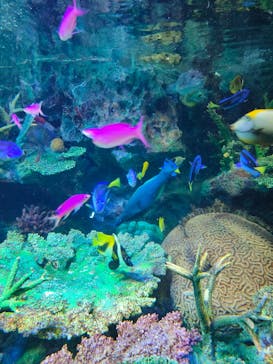 サンシャイン水族館に投稿された画像（2021/4/16）