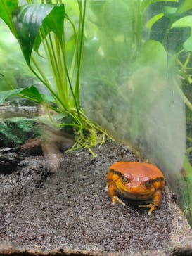 サンシャイン水族館に投稿された画像（2021/4/16）