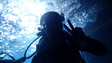 ダイビングショップ Sea Free（シーフリー）に投稿された画像（2021/4/16）