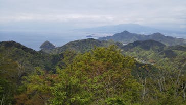 伊豆パノラマパークに投稿された画像（2021/4/16）