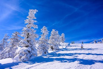 横手山・渋峠スキー場に投稿された画像（2021/4/16）