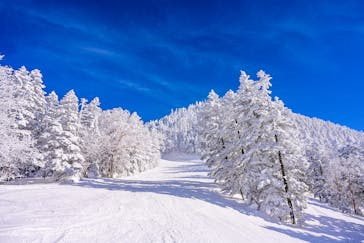 横手山・渋峠スキー場に投稿された画像（2021/4/16）