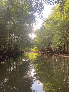 西表島 ADVENTURE PiPi（アドベンチャーピピ）に投稿された画像（2021/4/17）