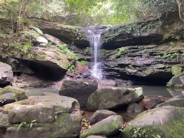 西表島 ADVENTURE PiPi（アドベンチャーピピ）に投稿された画像（2021/4/17）