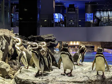 すみだ水族館に投稿された画像（2021/4/17）