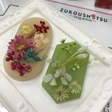 ずこうしつ〜sugamo〜に投稿された画像（2021/4/17）