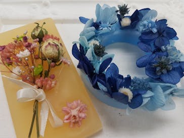 ずこうしつ〜sugamo〜に投稿された画像（2021/4/17）