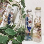 ずこうしつ〜sugamo〜に投稿された画像（2021/4/17）