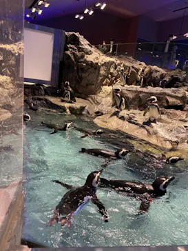 すみだ水族館に投稿された画像（2021/4/17）