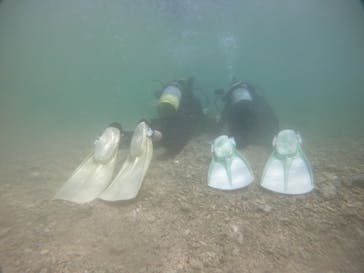 武藤潜水に投稿された画像（2021/4/17）