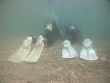 武藤潜水に投稿された画像（2021/4/17）