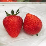 いのさんの観光農園に投稿された画像（2021/4/17）