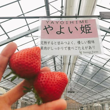 いのさんの観光農園に投稿された画像（2021/4/17）