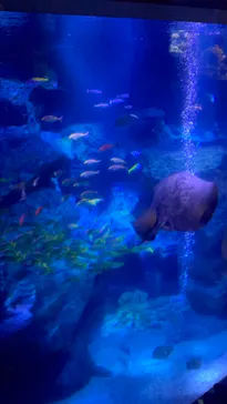 すみだ水族館に投稿された画像（2021/4/17）