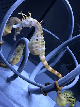 すみだ水族館に投稿された画像（2021/4/17）