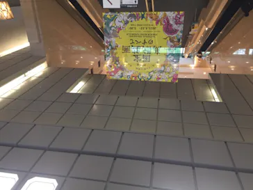 特別展「国宝　鳥獣戯画のすべて」に投稿された画像（2021/4/17）