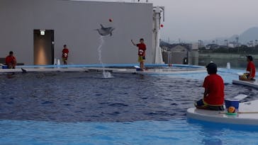 四国水族館に投稿された画像（2021/4/17）