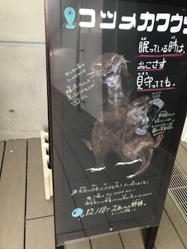 四国水族館に投稿された画像（2021/4/17）