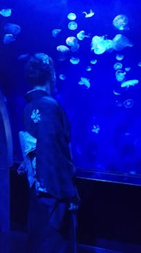 サンシャイン水族館に投稿された画像（2021/4/17）
