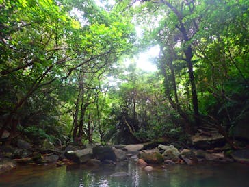 西表島 ADVENTURE PiPi（アドベンチャーピピ）に投稿された画像（2021/4/17）