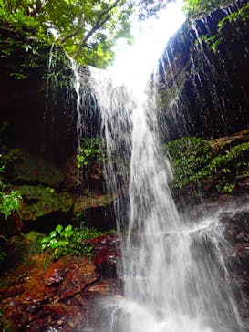 西表島 ADVENTURE PiPi（アドベンチャーピピ）に投稿された画像（2021/4/17）