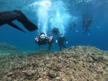 MalDive（モルダイブ）に投稿された画像（2021/4/18）