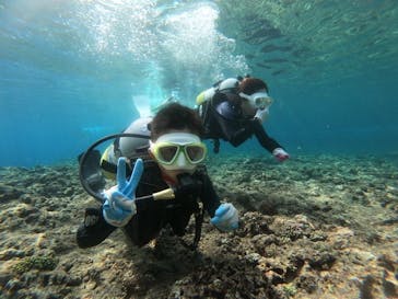 MalDive（モルダイブ）に投稿された画像（2021/4/18）