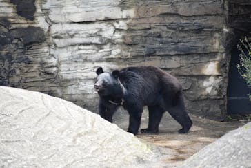 九十九島動植物園森きららに投稿された画像（2021/4/18）