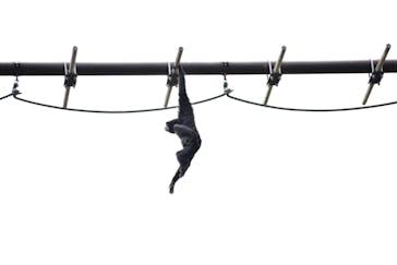 九十九島動植物園森きららに投稿された画像（2021/4/18）