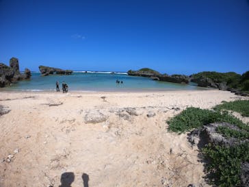 武藤潜水に投稿された画像（2021/4/18）