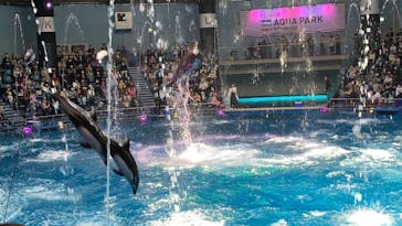 マクセル アクアパーク品川に投稿された画像（2021/4/18）